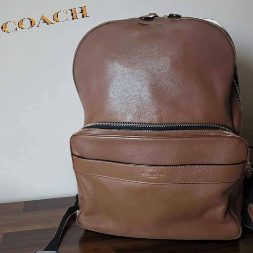 Coach Hamilton Backpack Mens Sports Calf Leather In Good Condition